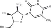 2'-Amino-2'-deoxy-5-methyluridine
