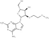 2'-O-(2-Methoxyethyl)-2-aminoadenosine