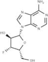 3'-Deoxy-3'-fluoro-xyloadenosine