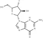 3'-Deoxy-3'-fluoro-xyloguanosine