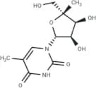 4'-Methyl-5-methyluridine
