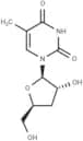 3'-Deoxy-5-methyluridine