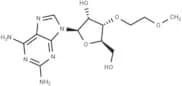 3'-O-(2-Methoxyethyl)-2-aminoadenosine