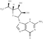 5'(R)-C-Methylguanosine