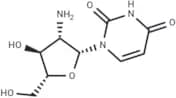 2'-Amino-2'-deoxy-b-D-arabinouridine