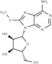 8-Methoxyadenosine