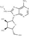 8-Methyaminoadenosine