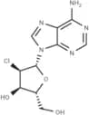 2'-Chloro-2'-deoxyadenosine