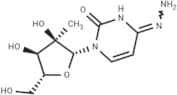 N4-Amino-2'-C-methylcytidine