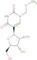 N1-Methoxymethyl   pseudouridine