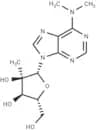 N6,N6-Dimethyl-2'-C-methyladenosine