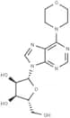 6-(4-Morpholino)-9-(β-D-ribofuranosyl)-9H-purine