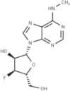 3'-Deoxy-3'-fluoro-N6-methyladenosine