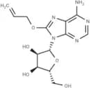 8-Allyloxyadenosine