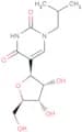 N1-(2-Methyl)propyl   pseudouridine