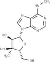3'-β-C-Methyl-N6-methyladenosine