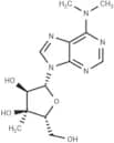 N6,N6-Dimethyl-3'-β-C-methyl-  adenosine