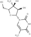 3'-β-C-Methyl-5-methyluridine