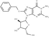1-Amino-8-benzyloxy-9-(b-D-xylofuranosyl)guanine