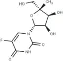 5-Fluoro-4'-C-methyluridine