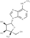4'-C-Methyl-N6-methyladenosine