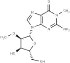 N1,2'-O-dimethylguanosine