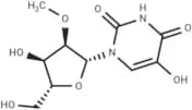 5-Hydroxy-2'-O-methyluridine