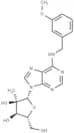N6-(3-Methoxybenzyl)-2'-C-methyl adenosine