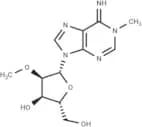 2'-O-Methyl-N1-methyladenosine