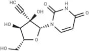 2'-β-C-Ethynyluridine