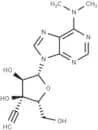 3'-β-C-Ethynyl-N6,N6-dimethyladenosine
