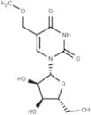 5-Methoxymethyluridine