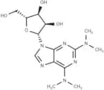 2-(N,N-Dimethylamino)-N6,N6-dimethyladenosine