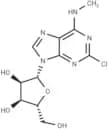 2-Chloro-N6-methyladenosine
