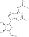 2-Chloro-N6-isopropyladenosine