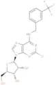 2'-Chloro-N6-(3-trifluoromethyl)benzyl   adenosine