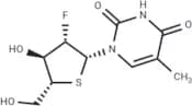 2'-Deoxy-2'-fluoro-5-methyl-4'-thio-β-D-arabinouridine