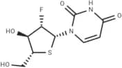 2'-Deoxy-2'-fluoro-4'-thio-b-D-arabinouridine