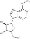 N6-Methyl-xylo-adenosine