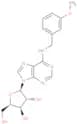 1-(b-D-Xylofuranosyl)-N6-(m-methoxybenzyl)   adenine