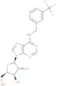 1-(b-D-Xylofuranosyl)-N6-(m-trifluoromethyl   benzyl) adenine
