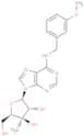 3'-β-C-Methyl-N6-(m-methoxybenzyl)adenosine