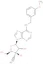 3'-β-C-Ethynyl-N6-(m-methoxybenzyl)adenosine