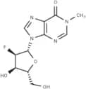 2'-Deoxy-2'-fluoro-N1-methyl   inosine