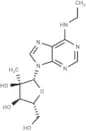 N6-Ethyl-2'-C-methyladenosine