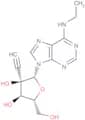 N6-Ethyl-2'-β-C-ethynyl   adenosine