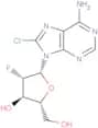 8-Chloro-2'-deoxy-2'-fluoro-arabino   adenosine