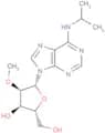 N6-iso-Propyl-2'-O-methyladenosine