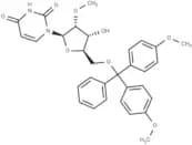5'-O-(4,4'-Dimethoxytrityl)-2'-O-Methyl uridine