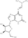 N6-Dimethylaminomethylidene isoguanosine
